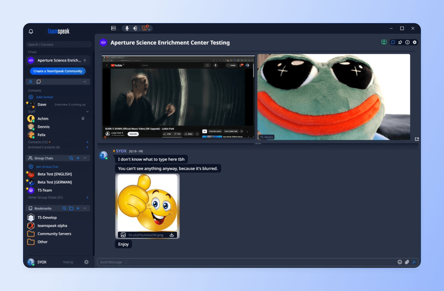 TeamSpeak chat showing shared YouTube video and smiling Pepe frog meme with orange smile and X-shaped eyes