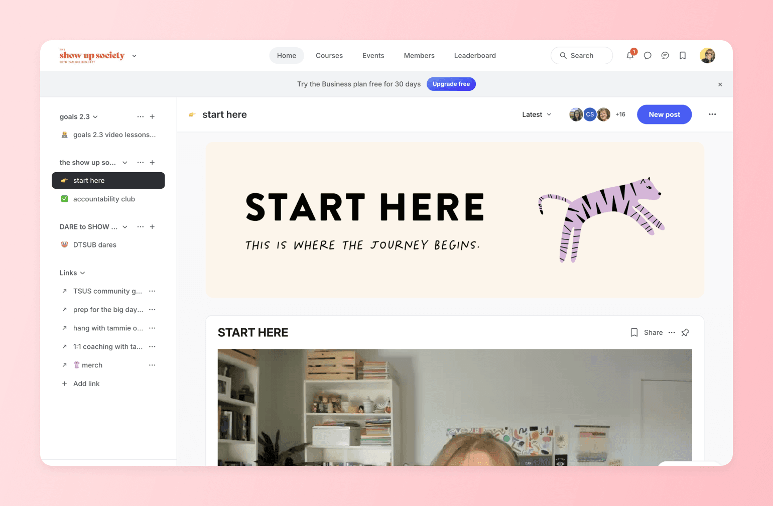 Show Up Society community platform dashboard with START HERE banner featuring purple striped zebra illustration and journey begins tagline